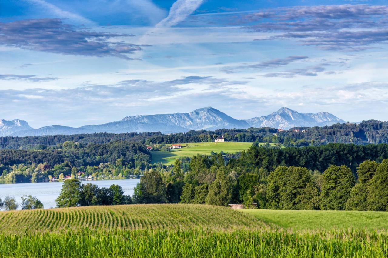 Landhaus Tanner Waging am See Bagian luar foto